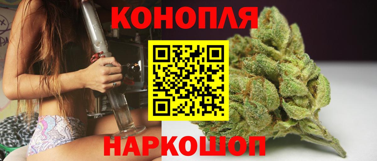 Конопля сатива Надым
